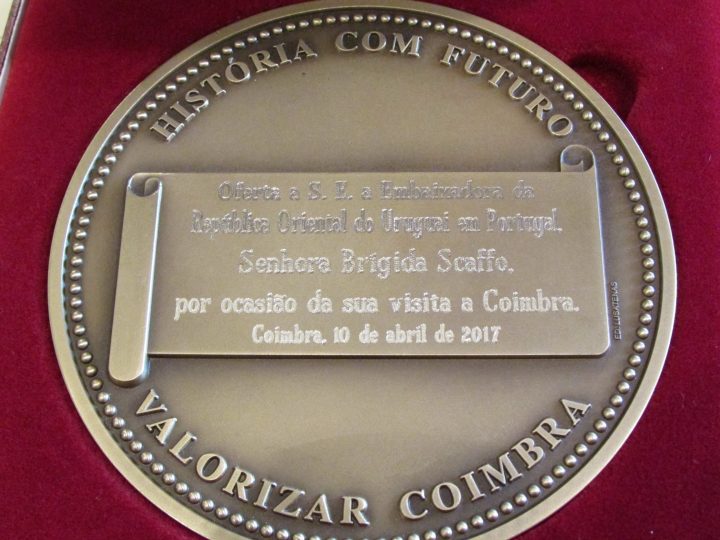 embaixadora 3 Custom